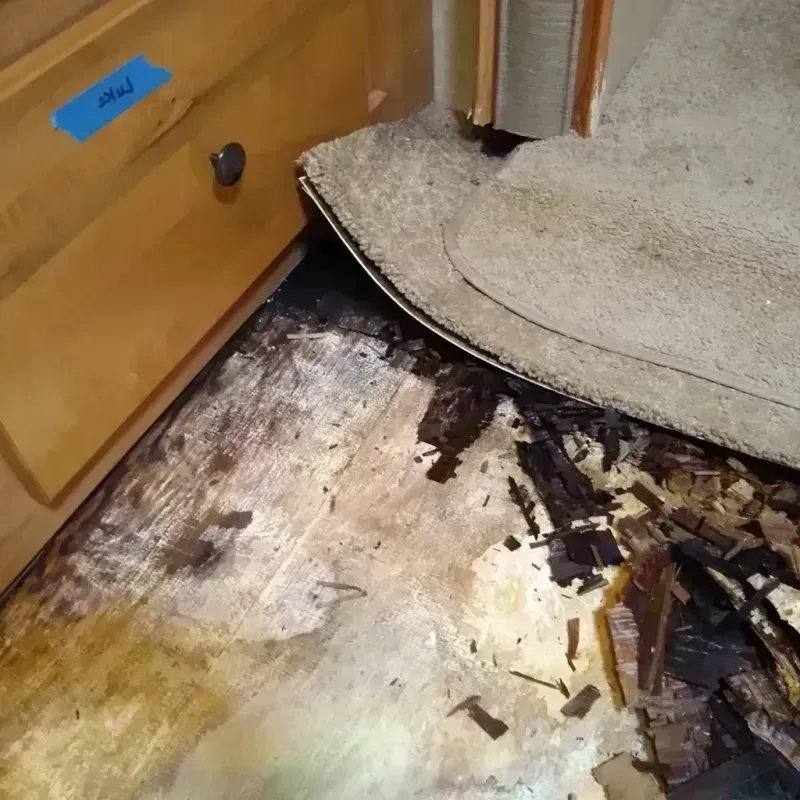 Wood Floor Water Damage in Winchester, NV